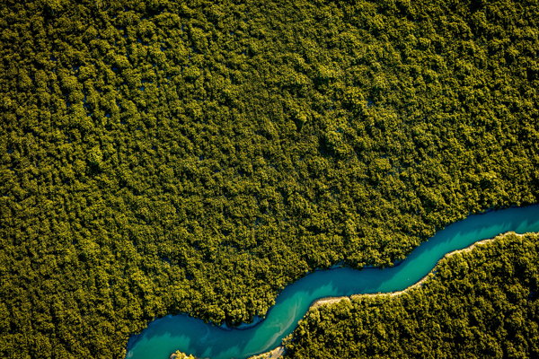 Istock 1654839123